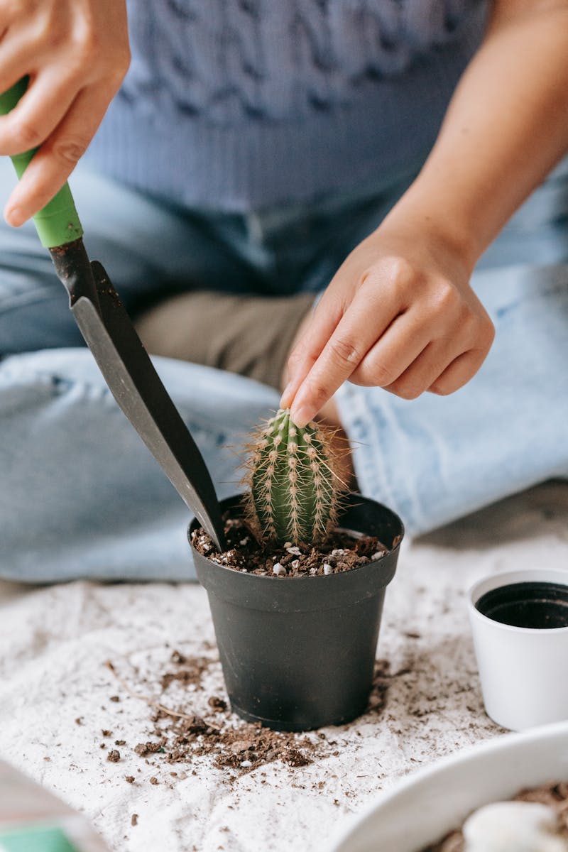 Woman gardening with a cactus in a pot, using a spatula indoors.