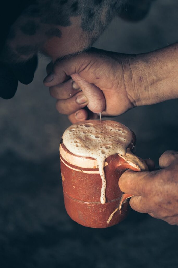 Detailed close-up showing hands milking a cow into a frothy mug. Captures traditional farming technique.